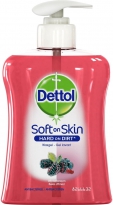 Handzeep Dettol Soft on Skin Winterbessen